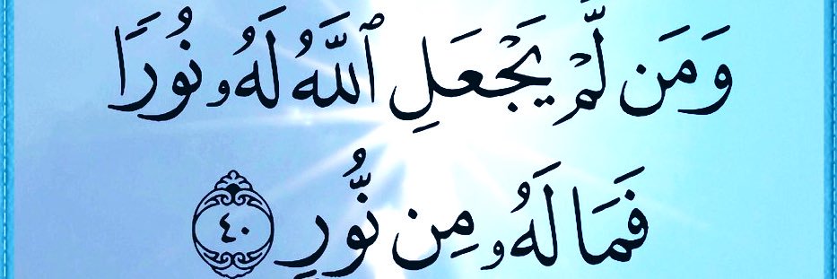 أروى طارق التل banner