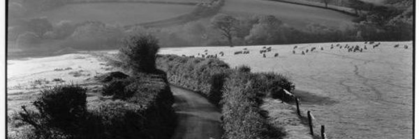 JamesRavilious Profile Banner