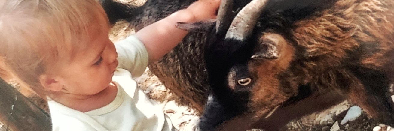 SyverBC 🇨🇭 banner