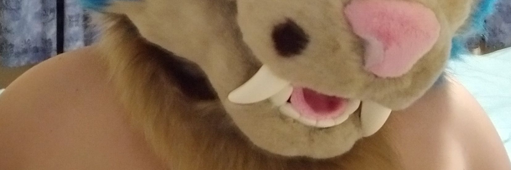 Naughty Cat thing banner