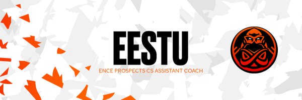 Eestuuu Profile Banner