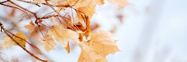 andmmarin Profile Banner