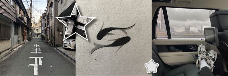 babyshark • collect banner