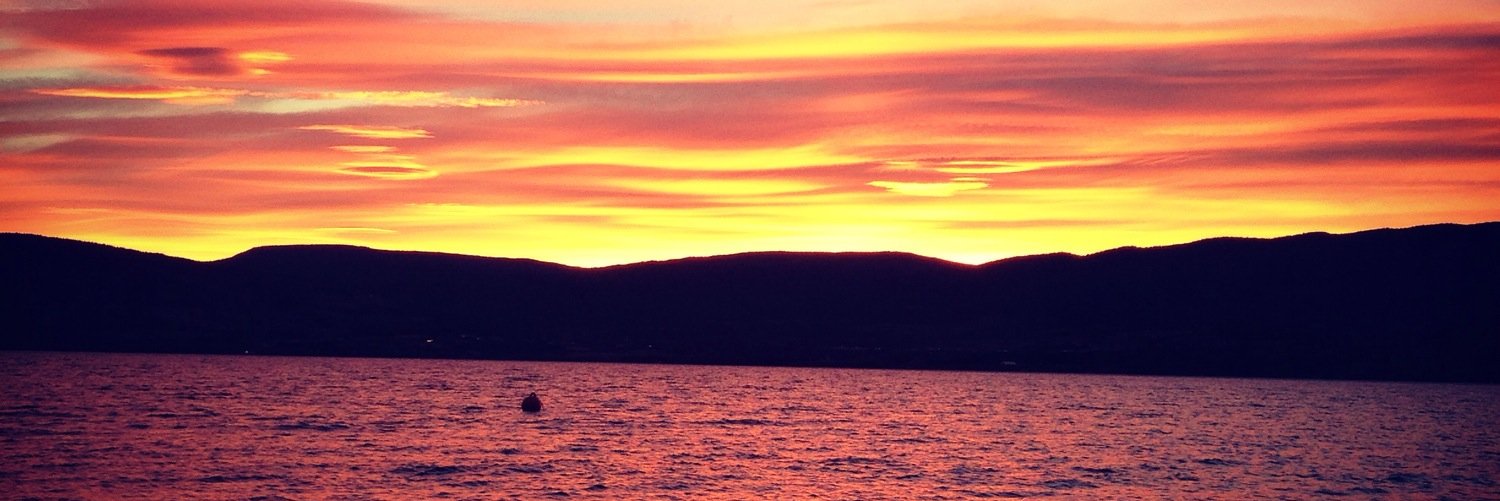 Gordon Bintner banner