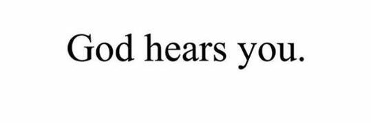 RicardoSeh™ banner