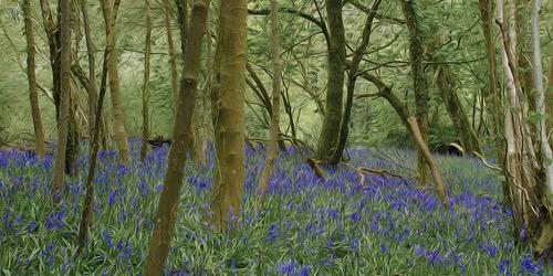 Beth_Latimer's profile banner image
