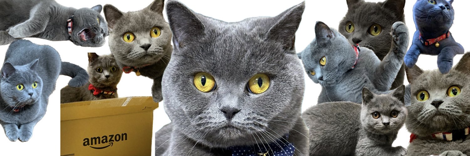ソレーナ・ホントコーレ banner