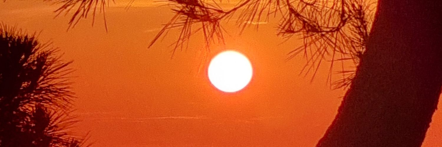 Esparrell1975's profile banner image
