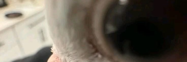 AzahalC's profile banner image