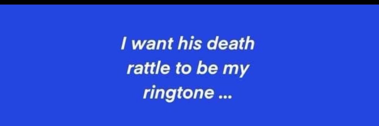 LooniePanda 🐼🐼💙💙💙💙💙💙 banner