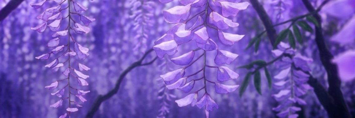 Samuraiimperia1's profile banner image