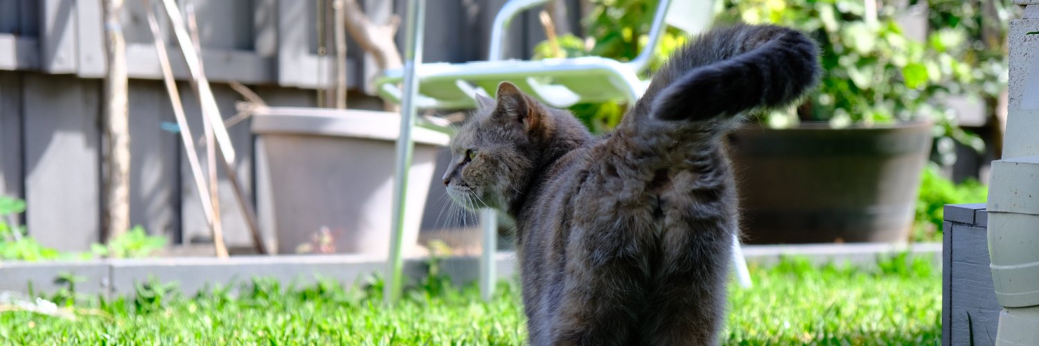 Sunni Labouef banner