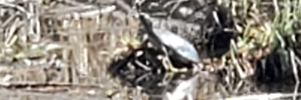 Kenneth40033713's profile banner image