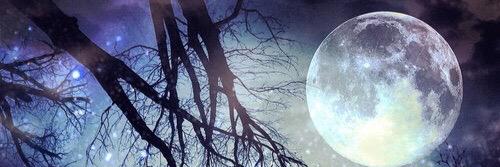 rahafothman22's profile banner image