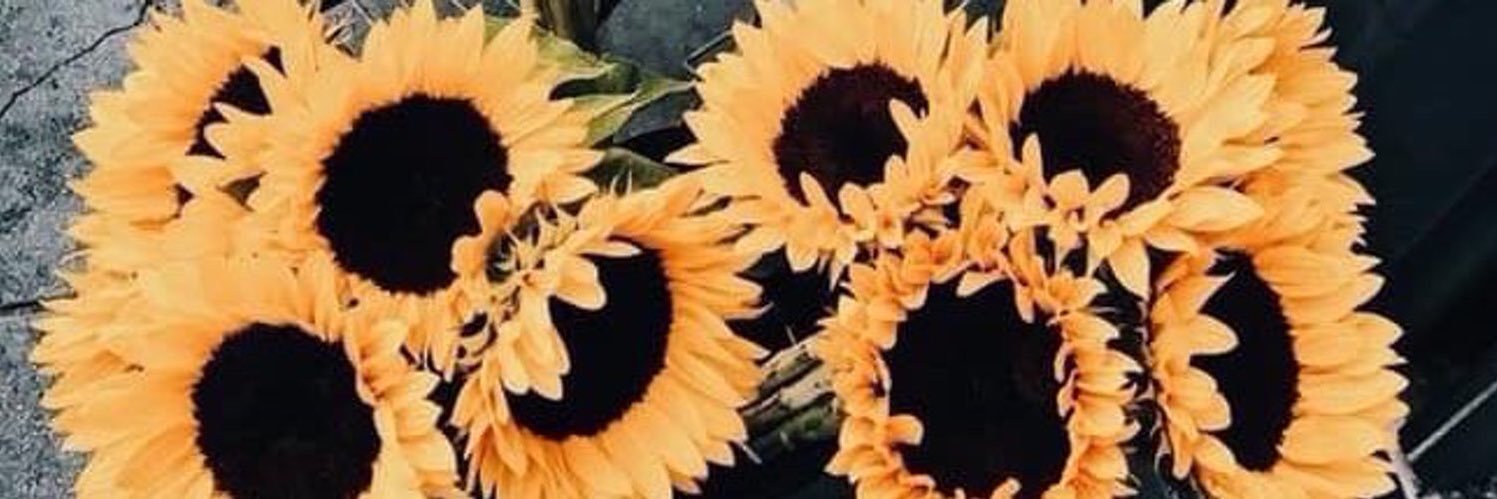 Its_Sadieee's profile banner image