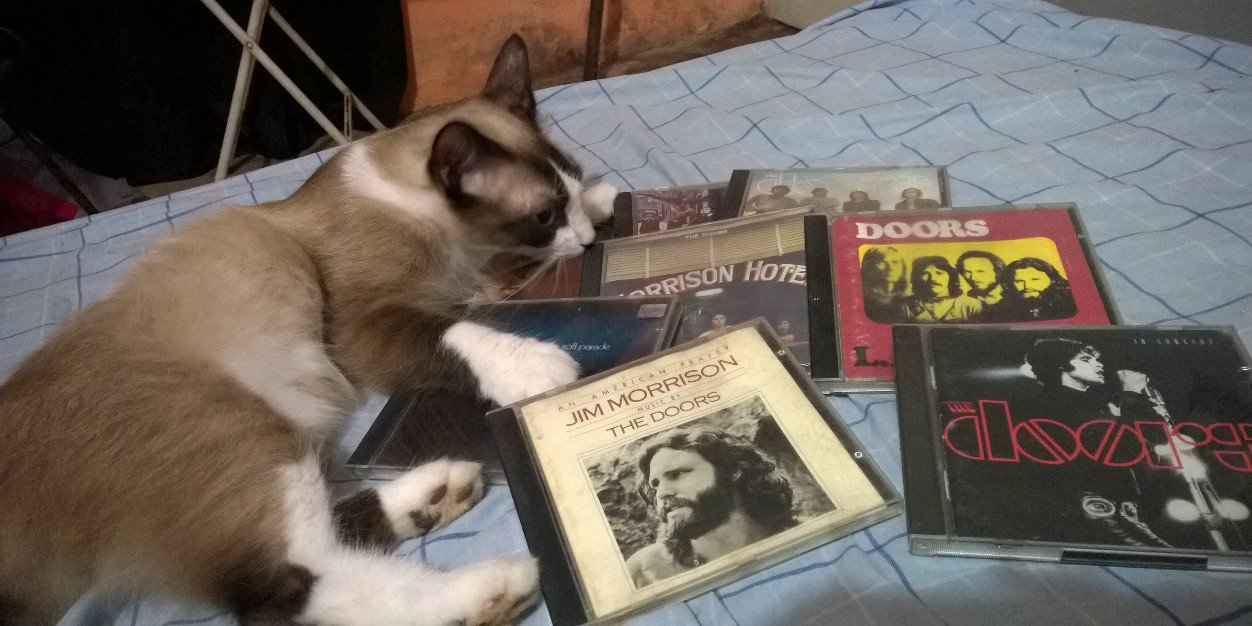 RoRo Punk Rock 1912 banner