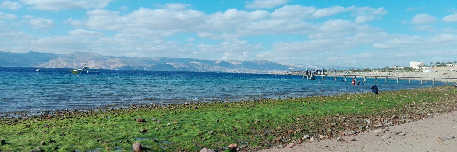 hinmzi's profile banner image