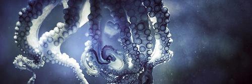 astmp_'s profile banner image