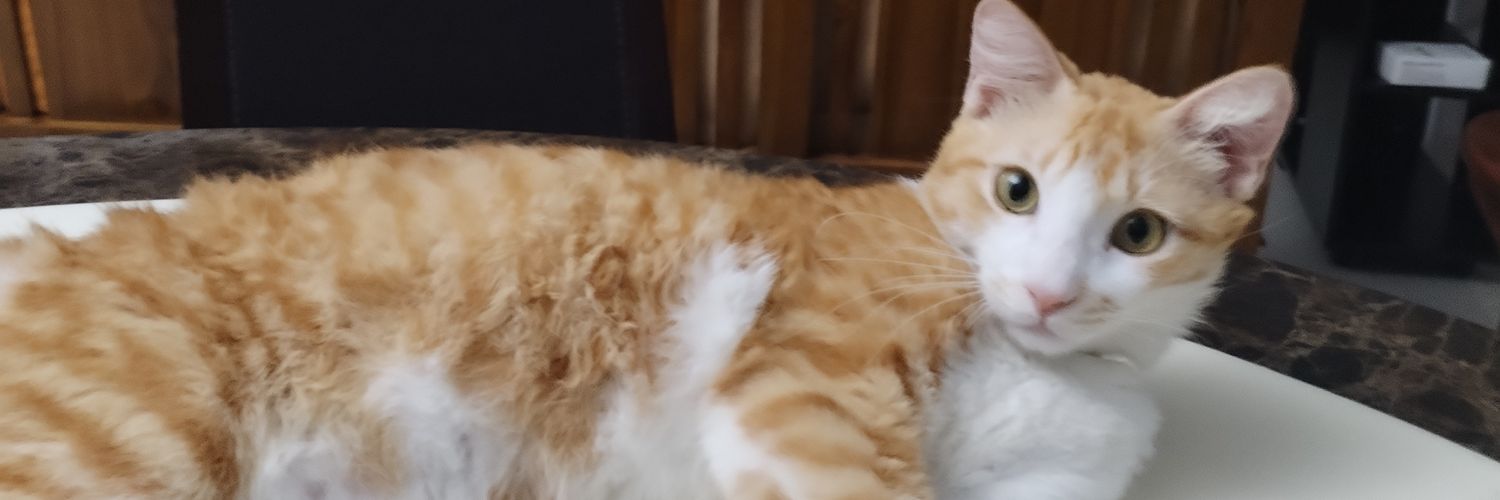 天空上的一朵云。 banner