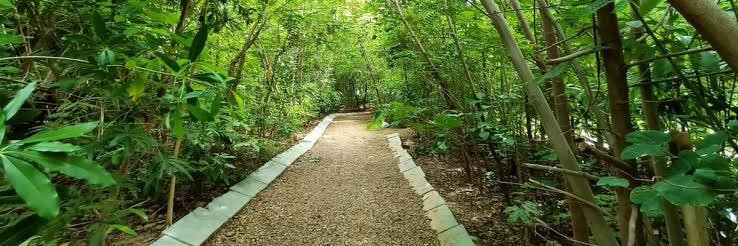 Gujarat Positive banner