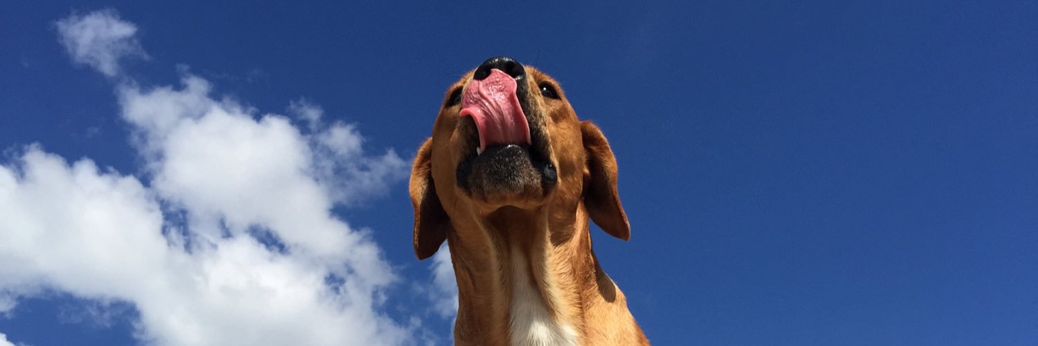 Gab2Rod's profile banner image
