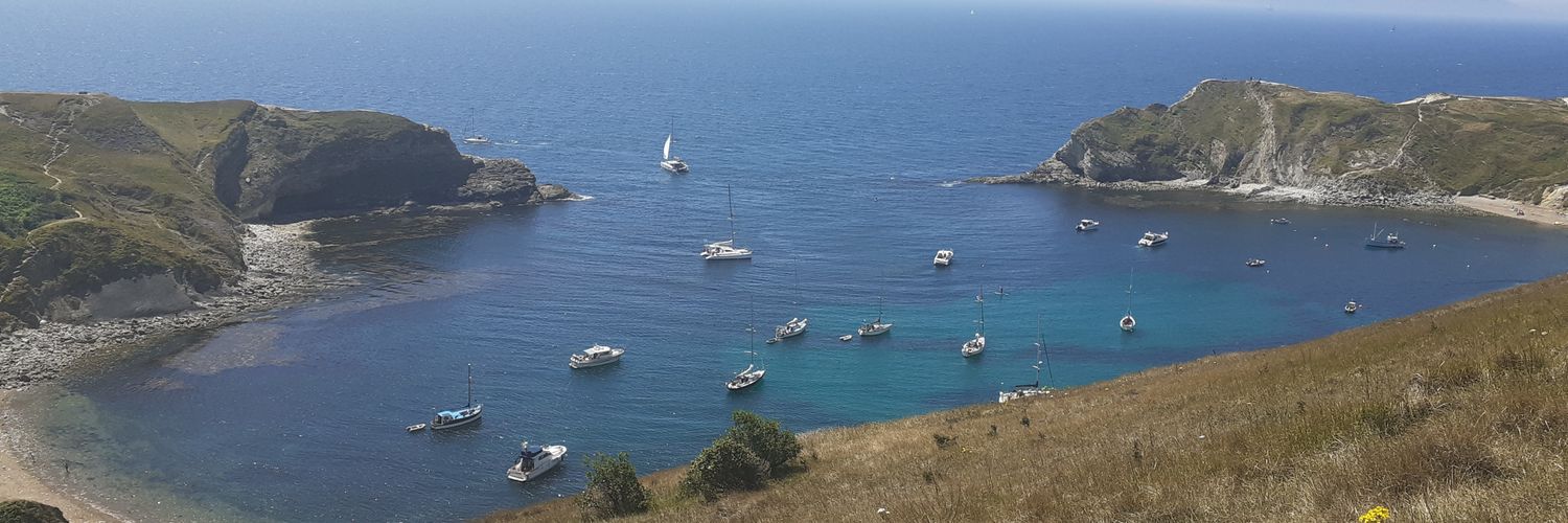 Clare Barrett banner