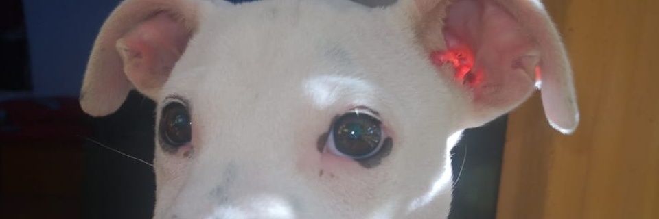 XxbvalinxX's profile banner image