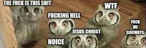 GuduleMartens Profile Banner