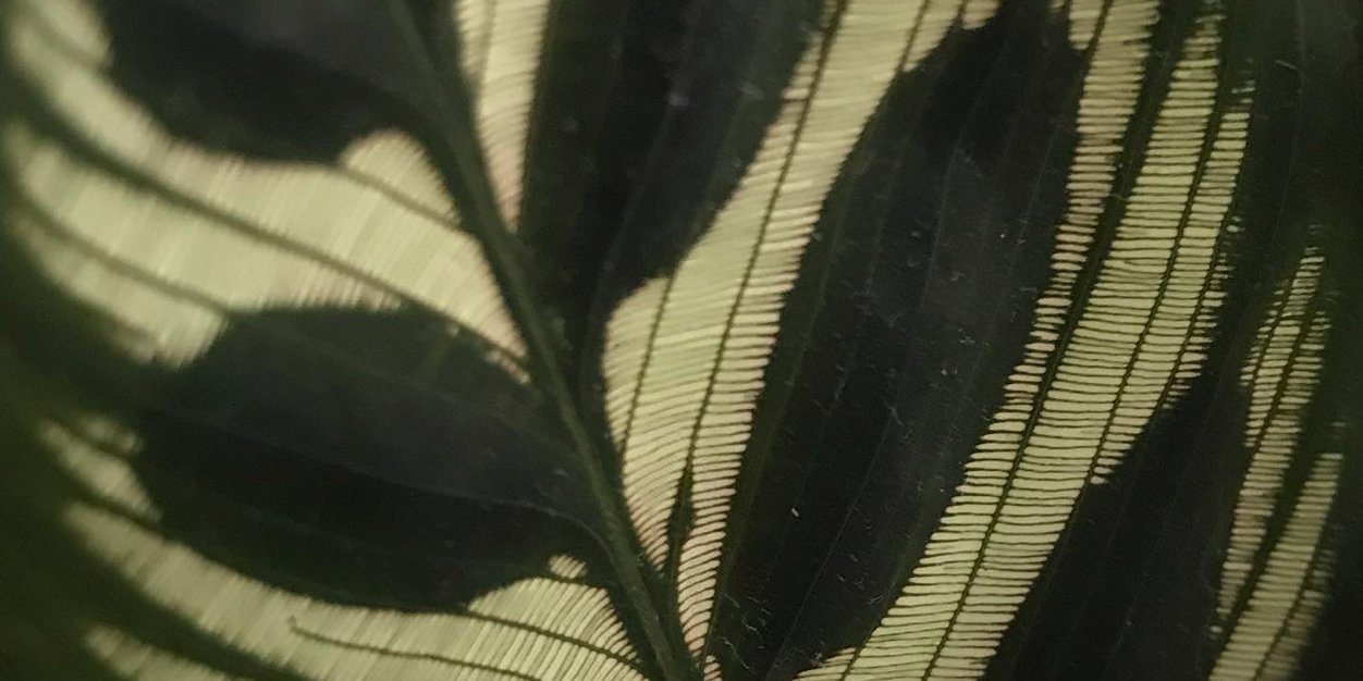 Johnnikeith's profile banner image
