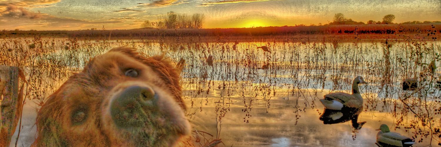 JHarrington94's profile banner image