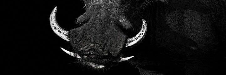 LasDennis's profile banner image