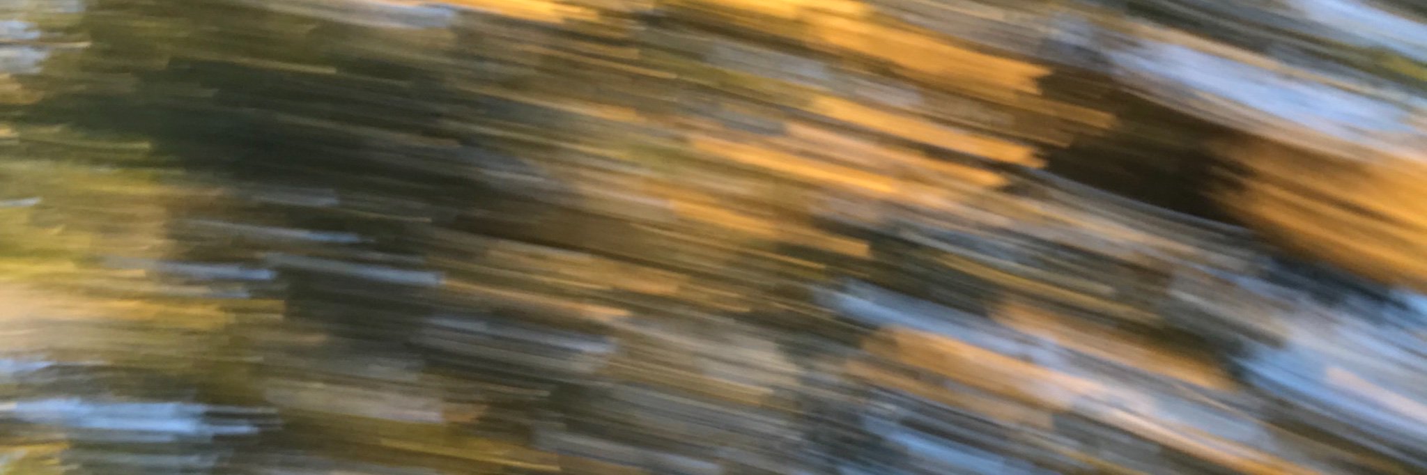 laurareyex's profile banner image