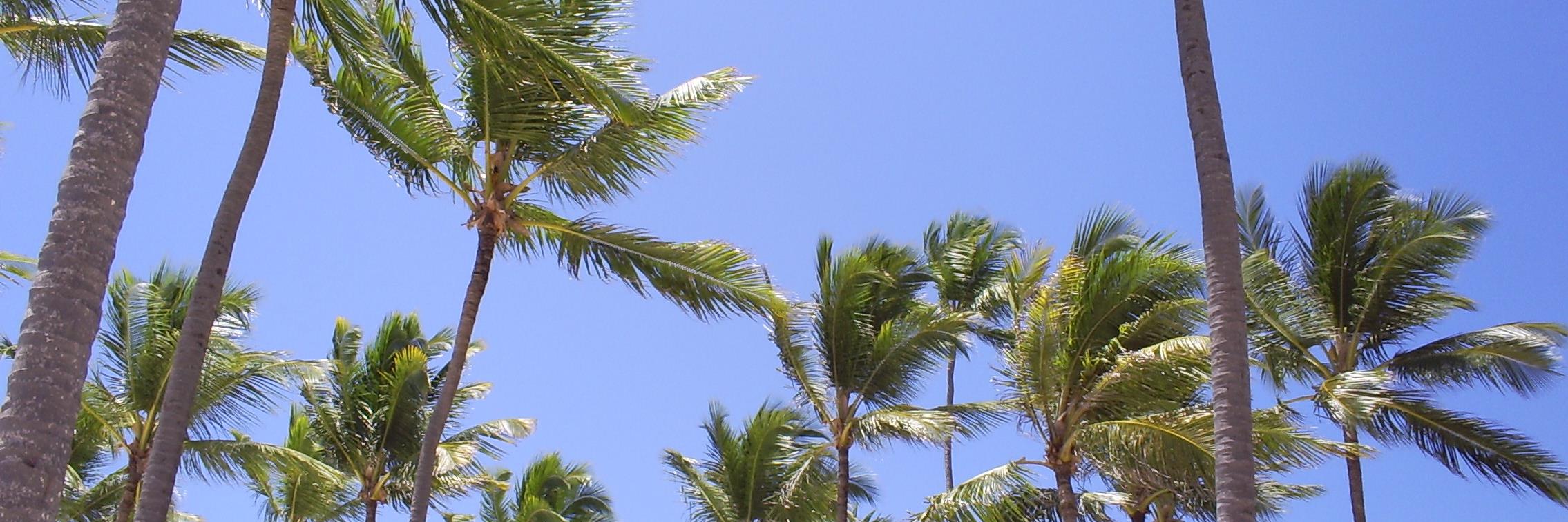 ipi64's profile banner image
