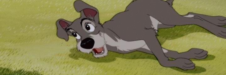 OnceATramp's profile banner image