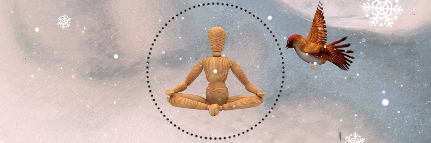 Jen Stein Hauptmann banner