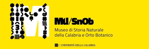 MuSnob Profile Banner