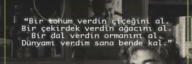 Luminar@kademi banner