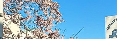 tavie·: banner