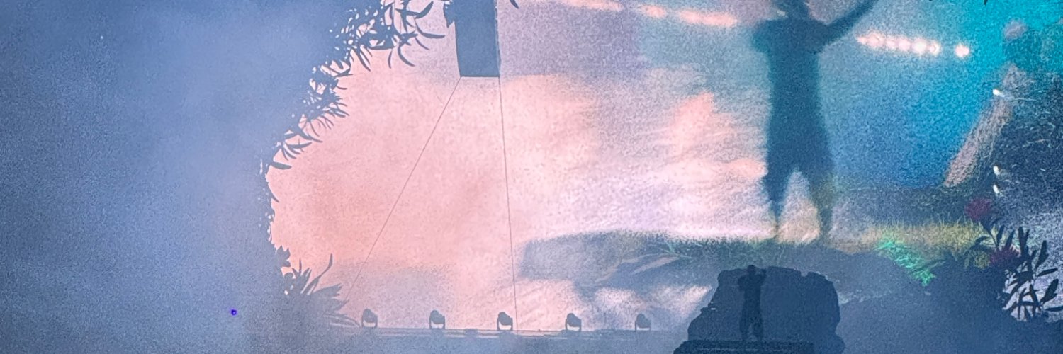 l&nny banner