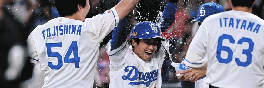 中日スポーツ banner