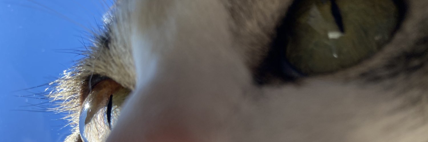 bruna_ernstf's profile banner image