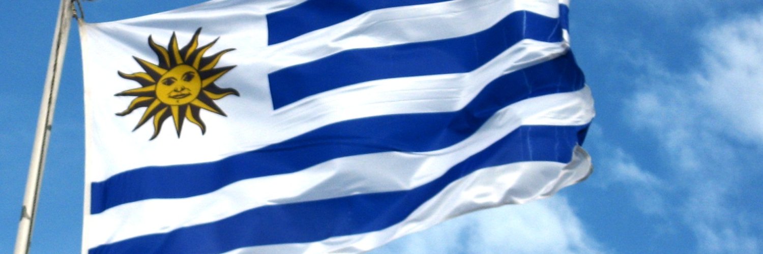 ESMADE (Estado Mayor de la Defensa) banner