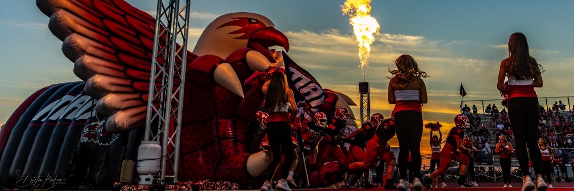 THE NEST BARSTOOL🦅 banner