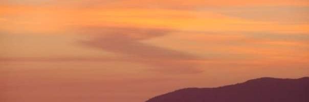 𝘼𝙙𝙖𝙢 𝙒𝙚𝙣𝙩𝙬𝙤𝙧𝙩𝙝 / GoMining Ambassador banner