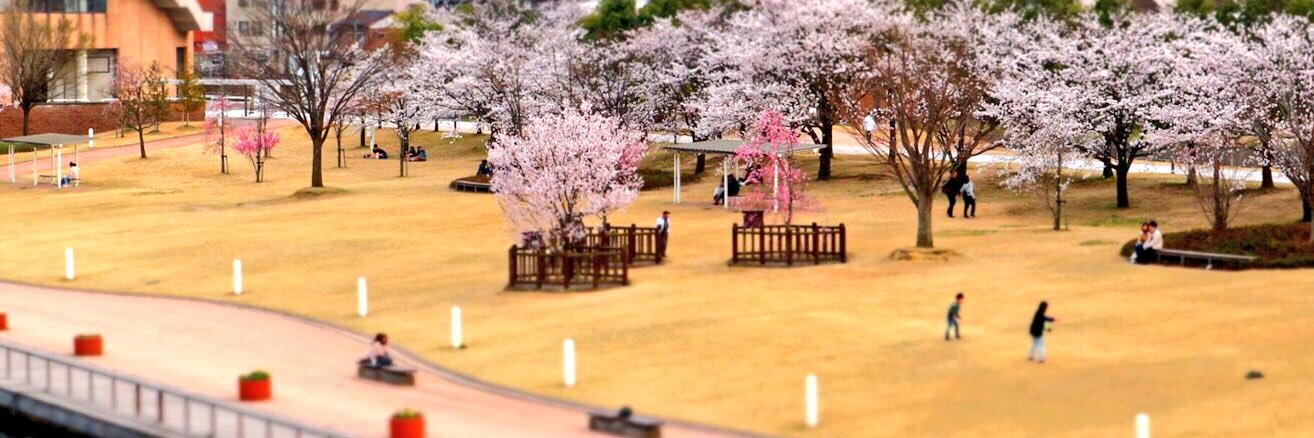 noripari6's profile banner image
