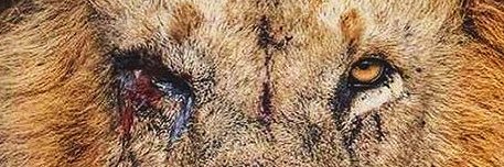 Haleyseven's profile banner image