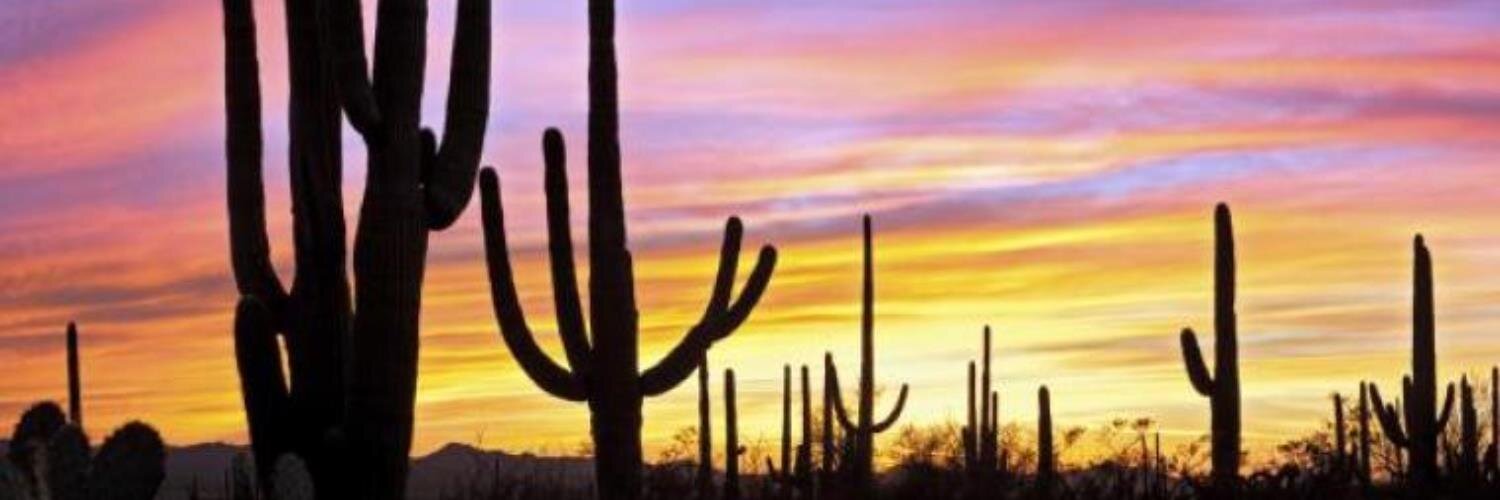 Christina Corieri banner