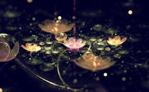 fiantrose's profile banner image