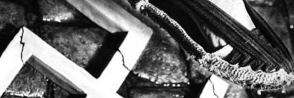 panoramic_fest Profile Banner