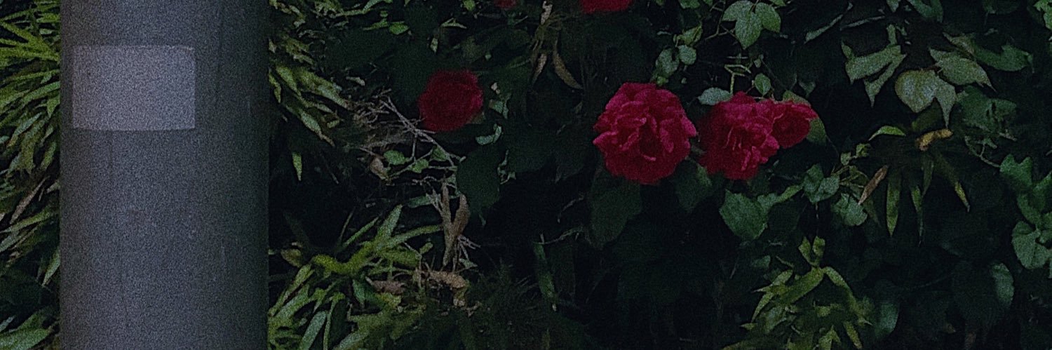 rv4z4's profile banner image